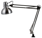 ARGUS LIGHT 3081 SWING