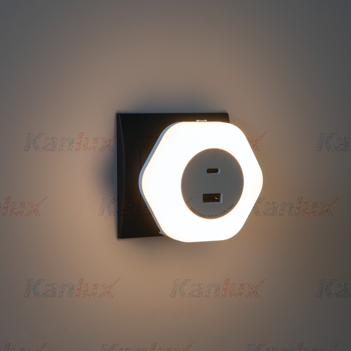 BOLA LED 2xUSB WW W Svítidlo LED do zásuvky