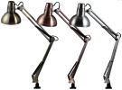 ARGUS LIGHT 3081 SWING